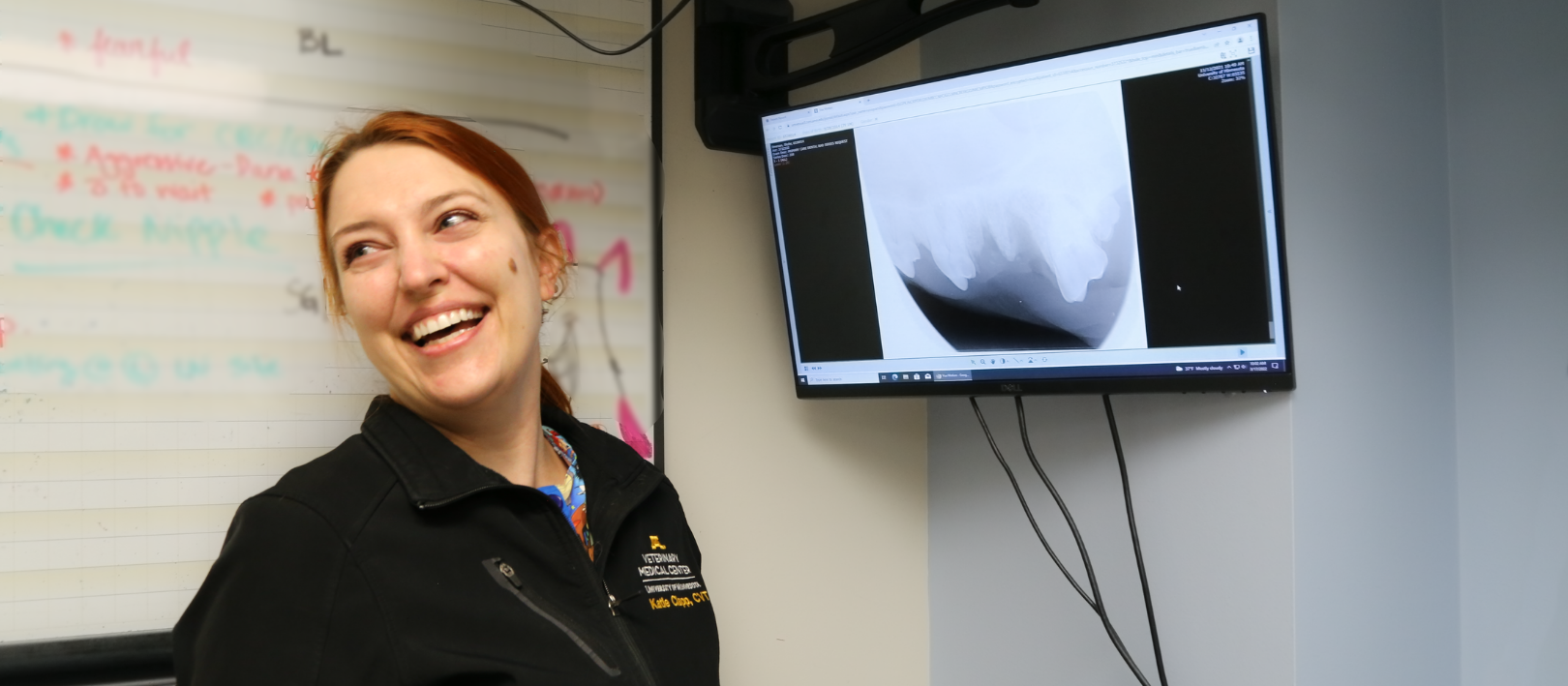 Katie Clapp with a canine dental x-ray