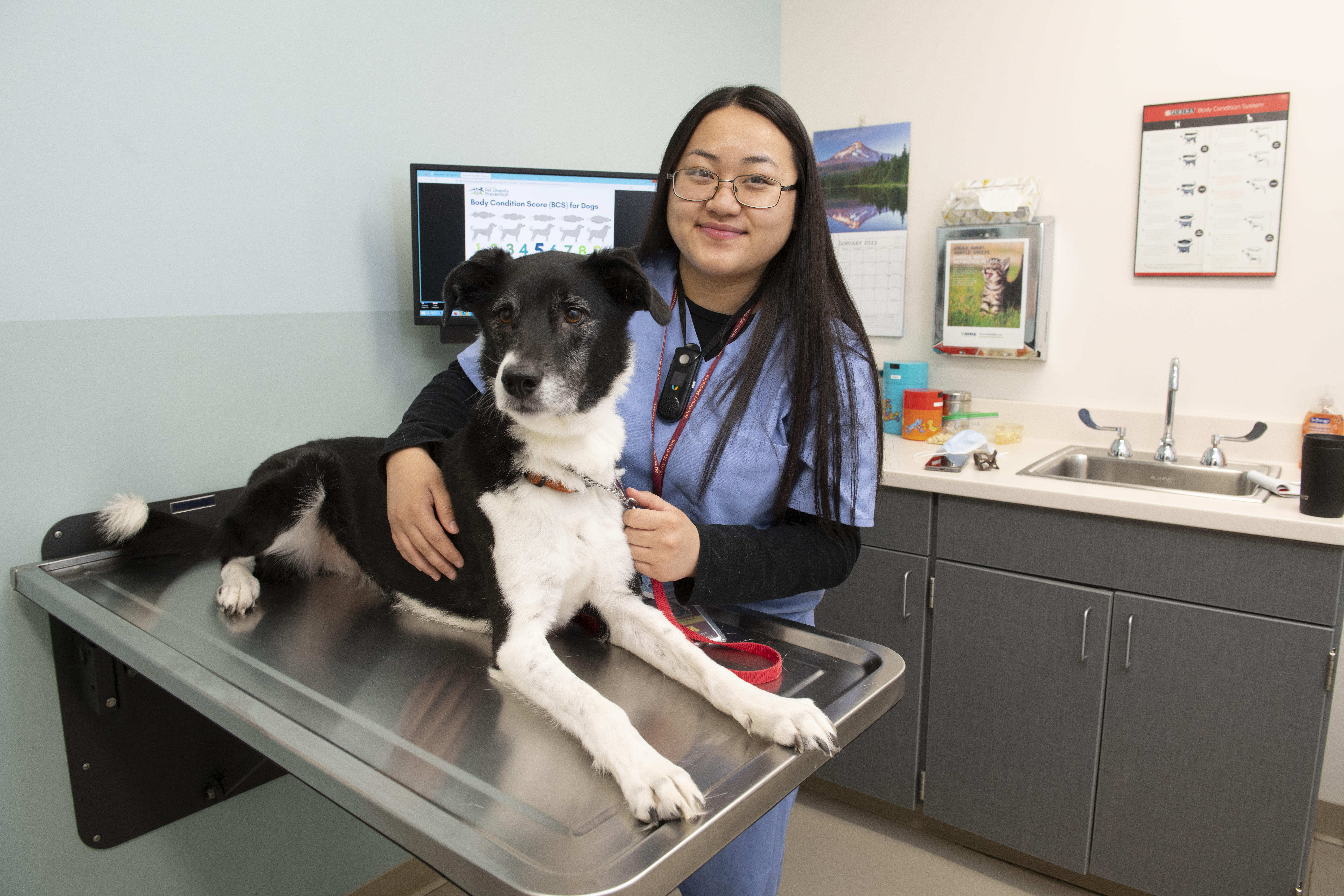 Angelie, a vet tech assistant, and Nigel, a cute black and white dog, in an exam room