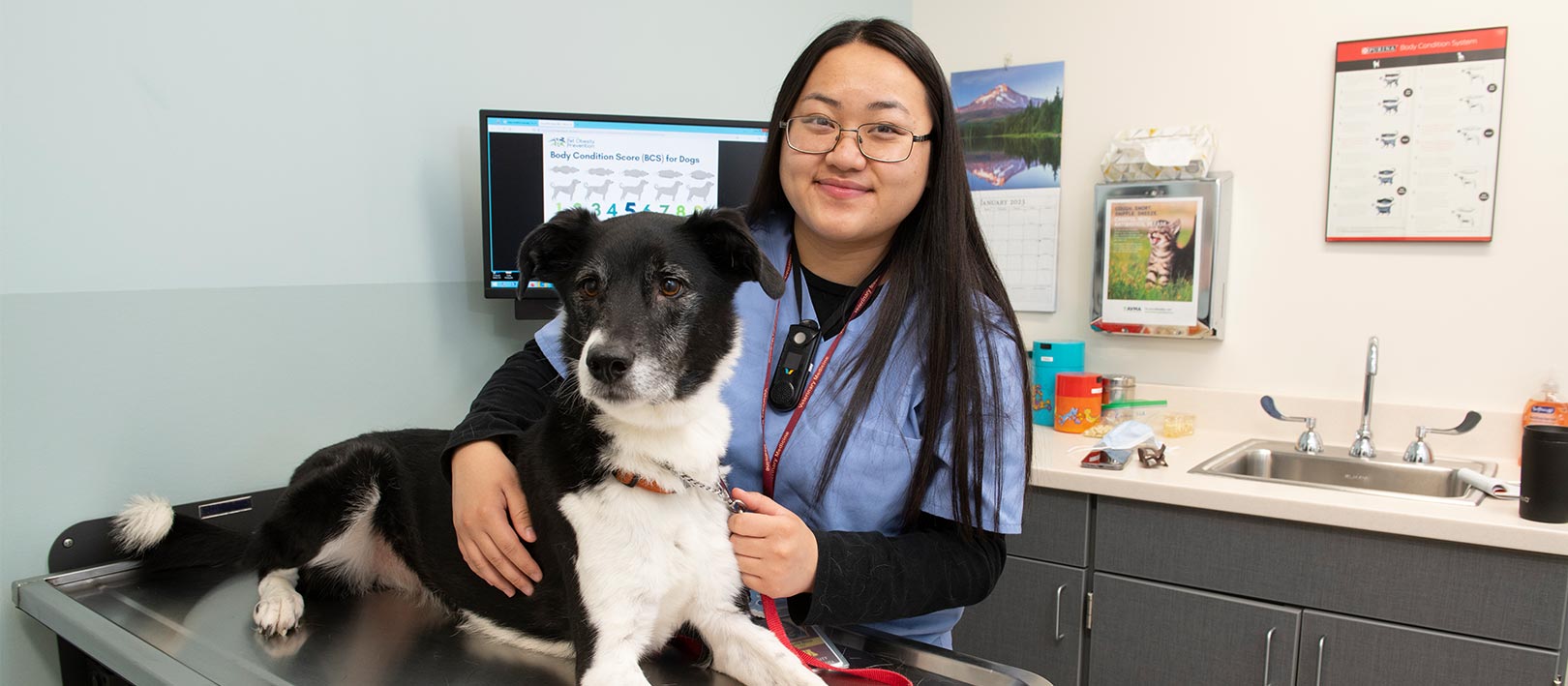Angelie, a vet tech assistant, and Nigel, a cute black and white dog, in an exam room