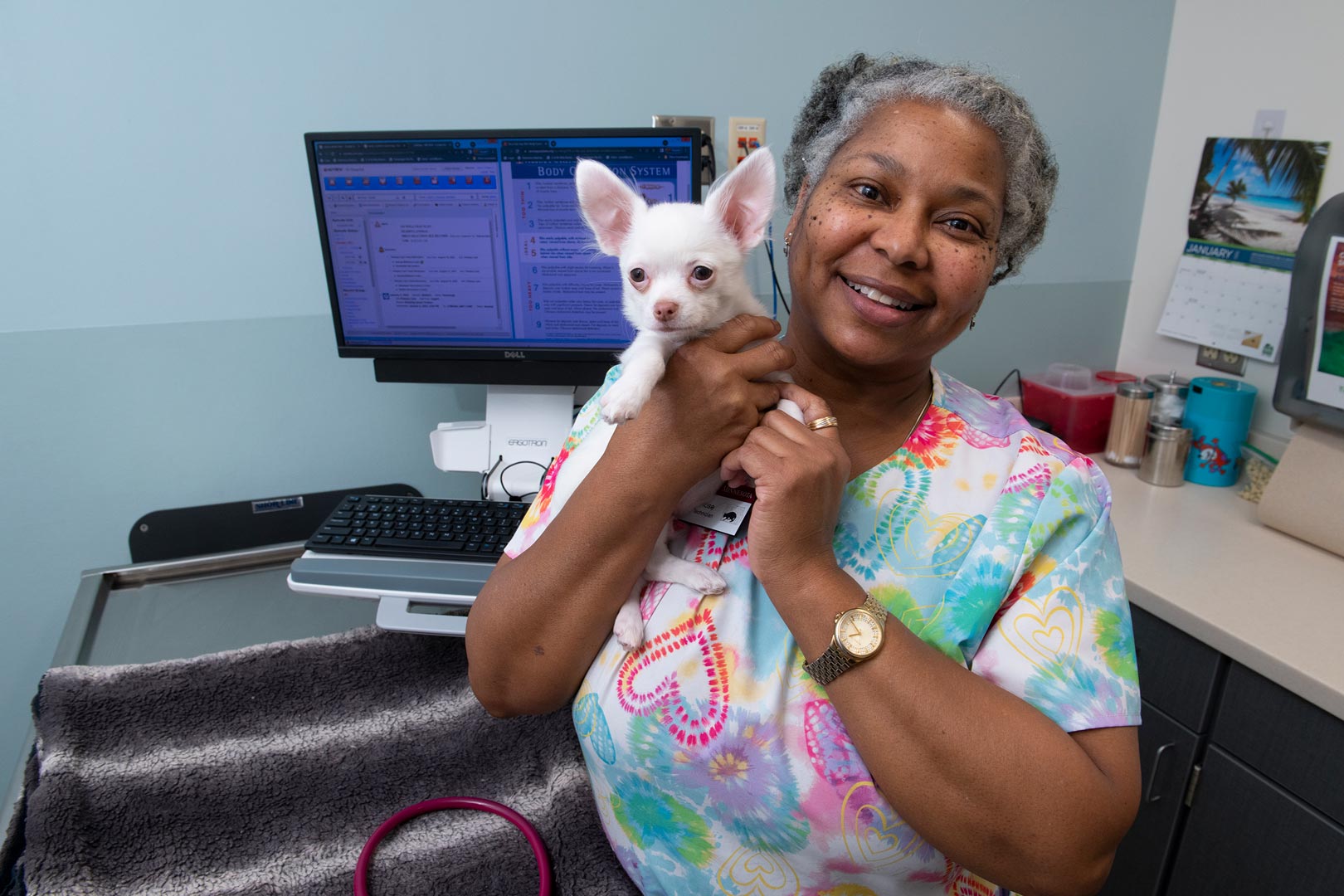 Senior Vet Tech Rosemary Klass with Calloway, a young white chihuahua