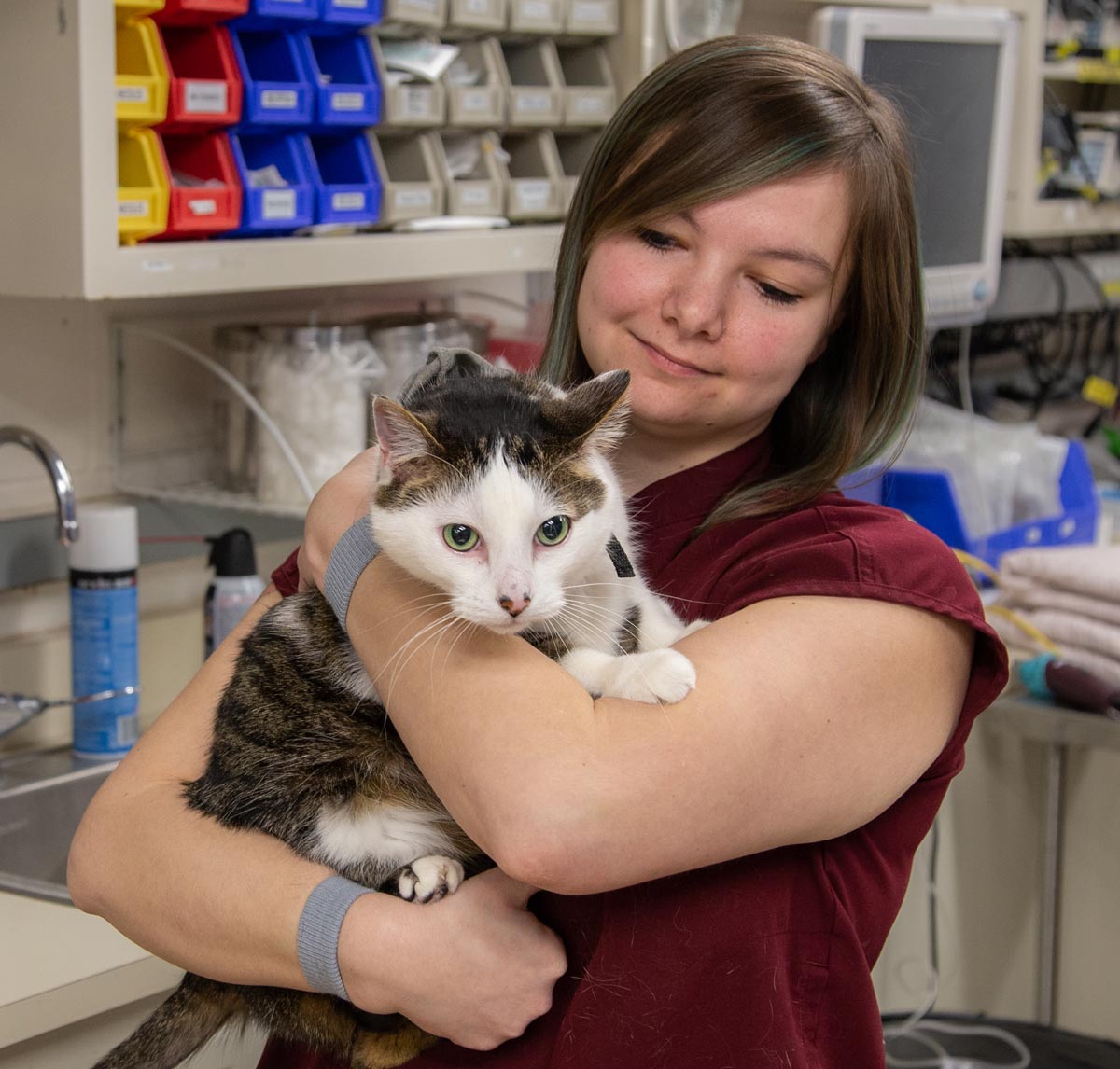 Natalie Vogel holding Eski, a cat with piercing aqua eyes