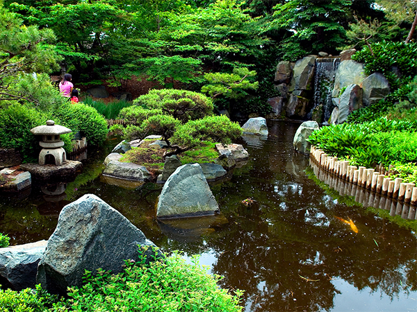 A zen garden with a pond, waterfall and green plants