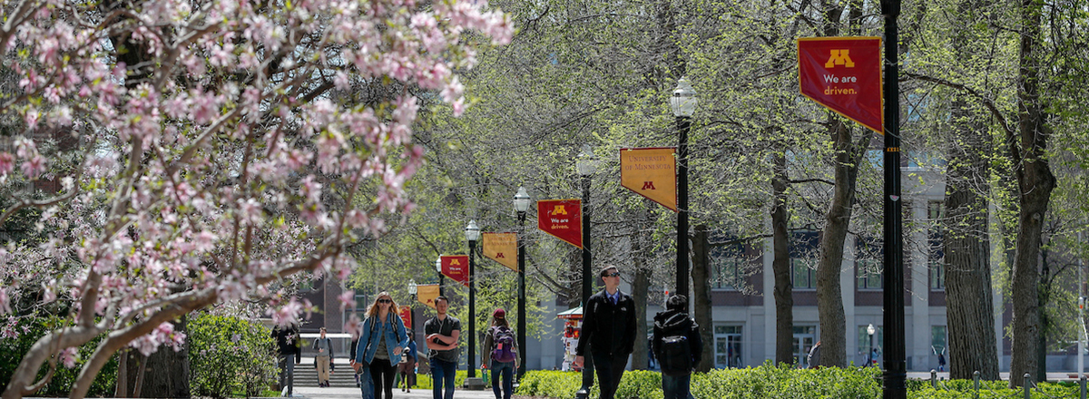 People walking on a path at the University of Minnesota in the spring.