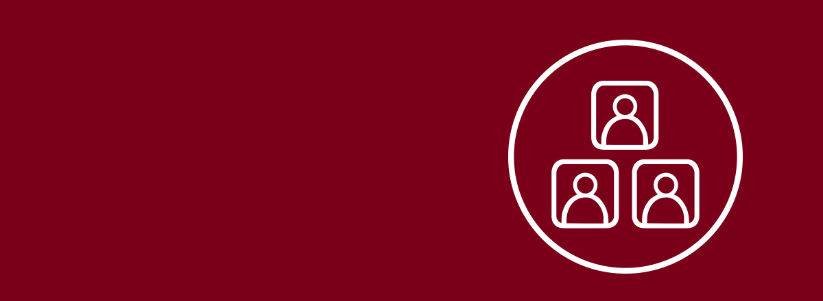 Maroon hero banner with white icon outline of a pyramid of people in squares in a white circle