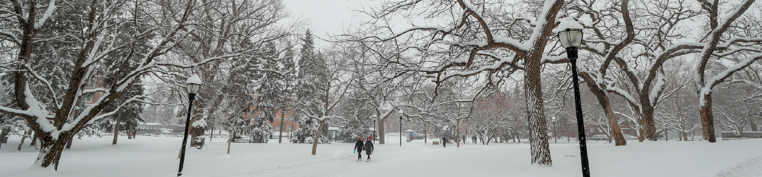 UMN Campus in winter with snow