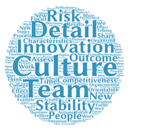 A word cloud highlighting the words risk, detail, innovation, outcome, culture, team, stability, and people