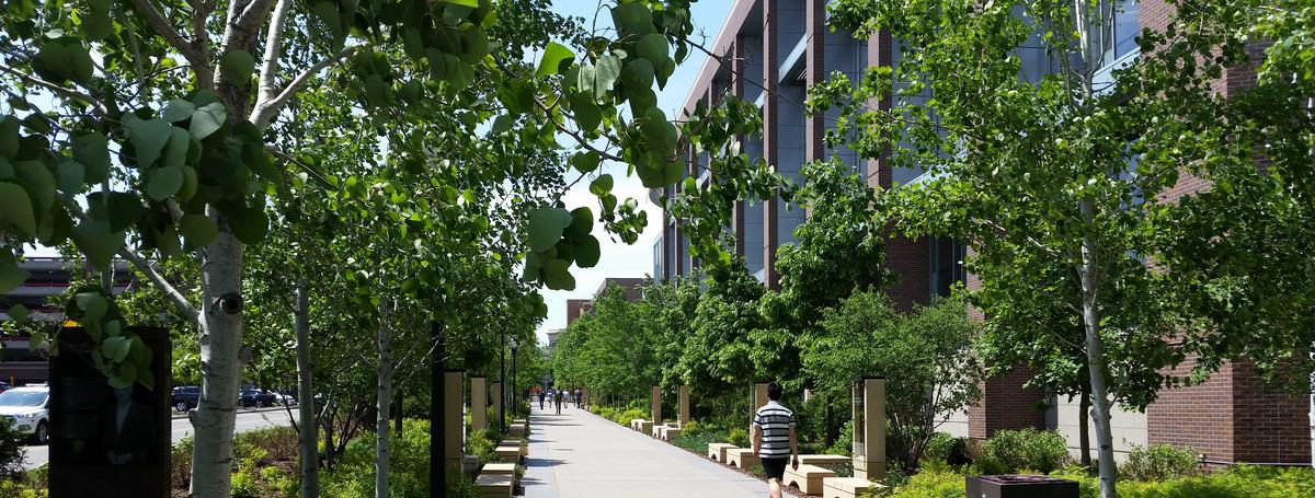 UMN Scholars Walk