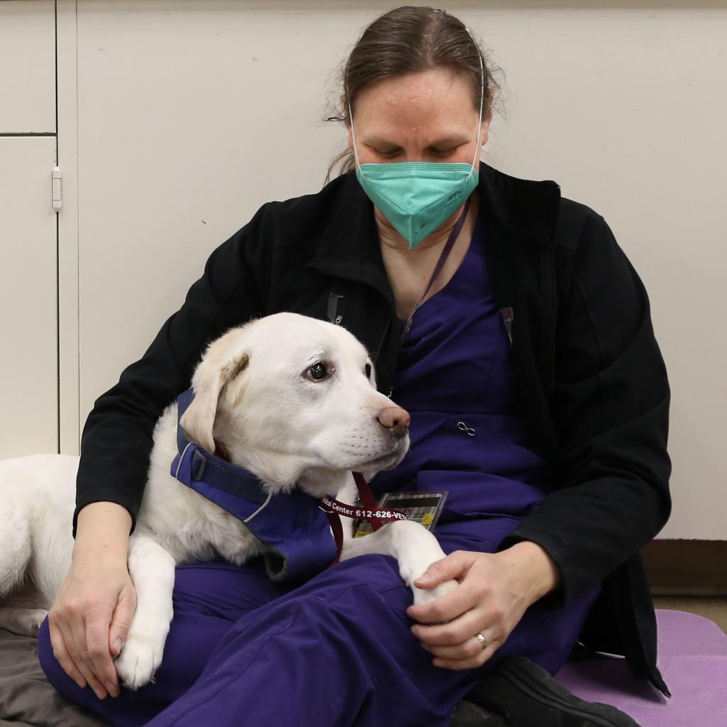 Vet Tech Siri Rea with Parker, a very pale yellow lab